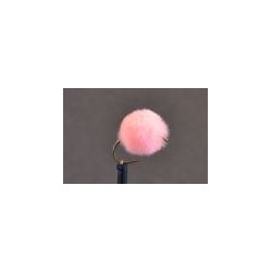 Shrimp Pink Egg