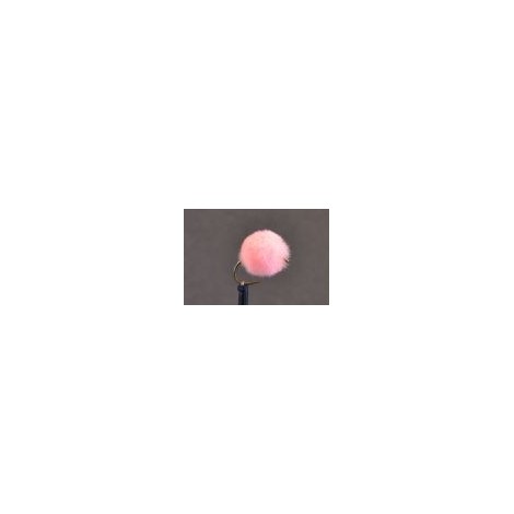 Shrimp Pink Egg