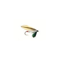 Silver Darter