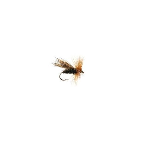 Peacock Caddis
