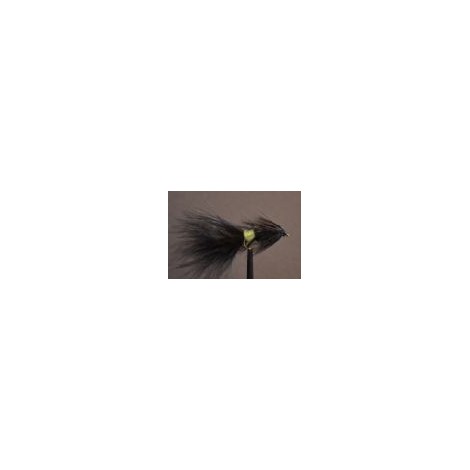 Tadpole  Black
