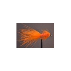 Tadpole  Orange