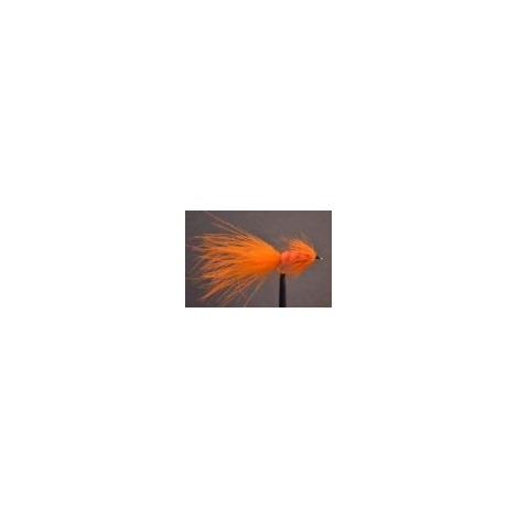 Tadpole  Orange