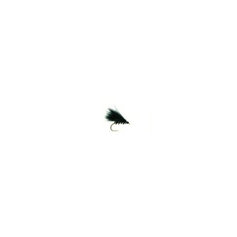 Traffic Light Cormorant