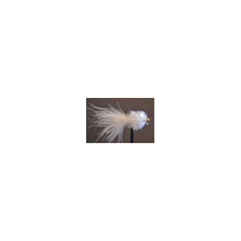 White Fritz Goldhead
