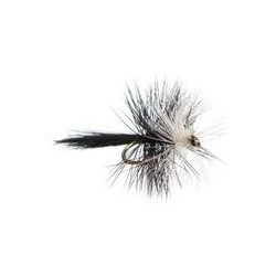 Bivisible Black