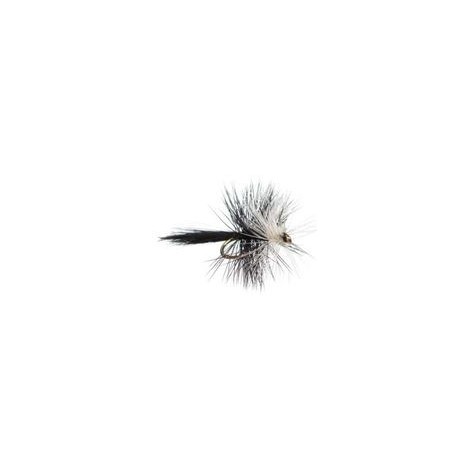 Bivisible Black