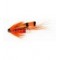 Ally's Shrimp  Copper Tube Fly