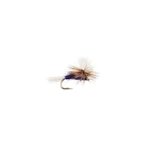 Purple Haze Parachute
