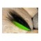 Black Lime