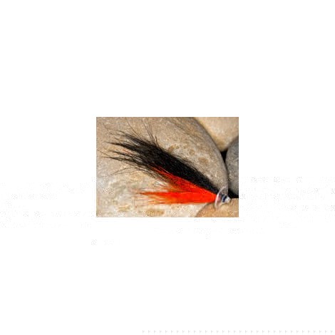 Black Orange