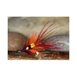 Faughan Shrimp