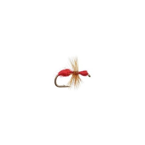 Red Ant