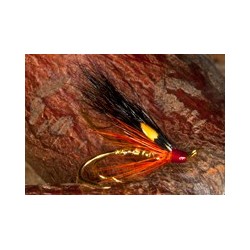 Gold Stinchair Stoat