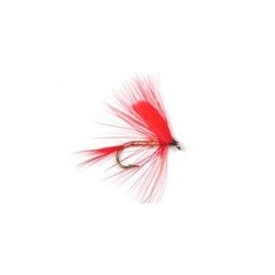 Red Ibis