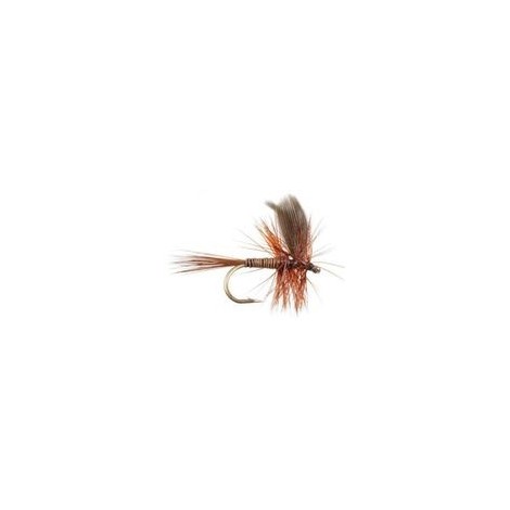 Red Quill