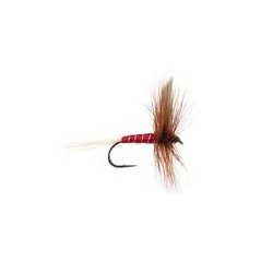 Red Spinner
