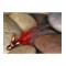 Pot Belly Pig Red ConeHead