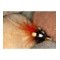 Red & Black PBP ConeHead