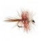 Bivisible Brown