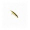 Sunray Shadow Yellow (Mix)