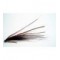 Sunrays Shadow Black  Plastic Tube Fly