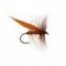Sedge Brown