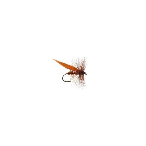 Sedge Brown