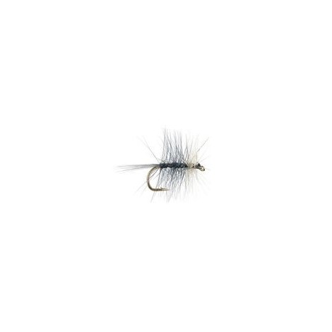 Bivisible Dun
