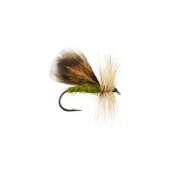 Spent Partridge Caddis