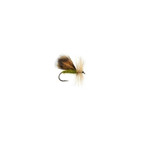 Spent Partridge Caddis