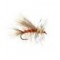 Stimulator Orange Yellow