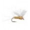 Sulphur Spinner