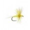 Sulphur Thorax