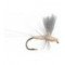 Thorax PMD