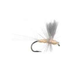Thorax PMD