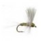 Thorax Slate Olive