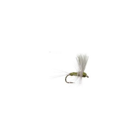 Thorax Slate Olive