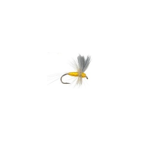 Thorax Sulphur