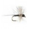 Thorax Trico