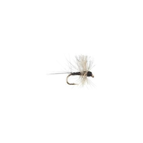 Thorax Trico