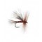 Travelling Sedge