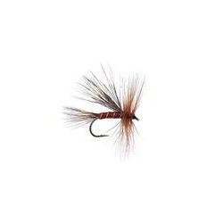 Travelling Sedge