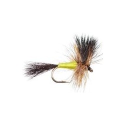 Wulff Black Yellow