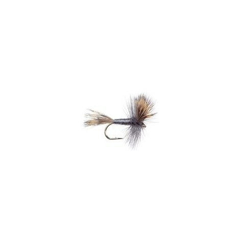 Wulff Gray Hair Wing