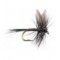 Black Quill