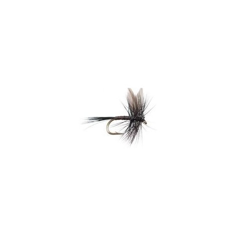 Black Quill
