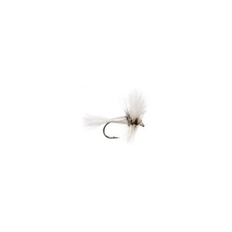 Wulff White Hair Wing
