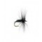 Black Spider