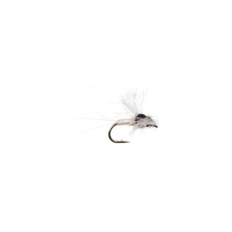 Black White Spinner